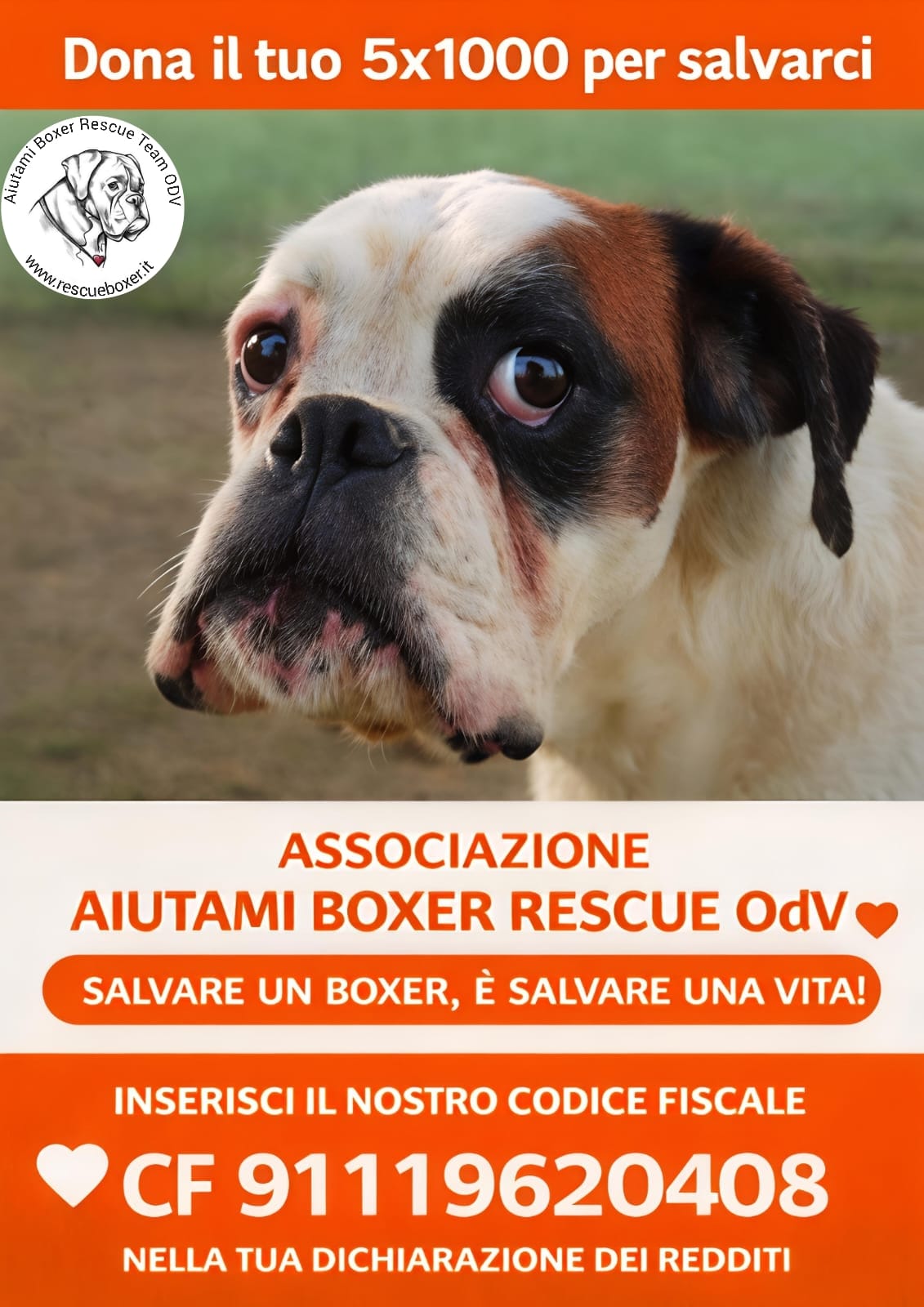 5️⃣ x 1️⃣0️⃣0️⃣0️⃣ 🟥