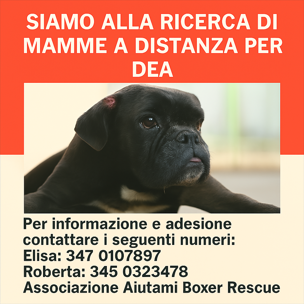 🌸 Vuoi diventare una mamma (o un papà!) a distanza di Dea? 🐶💕