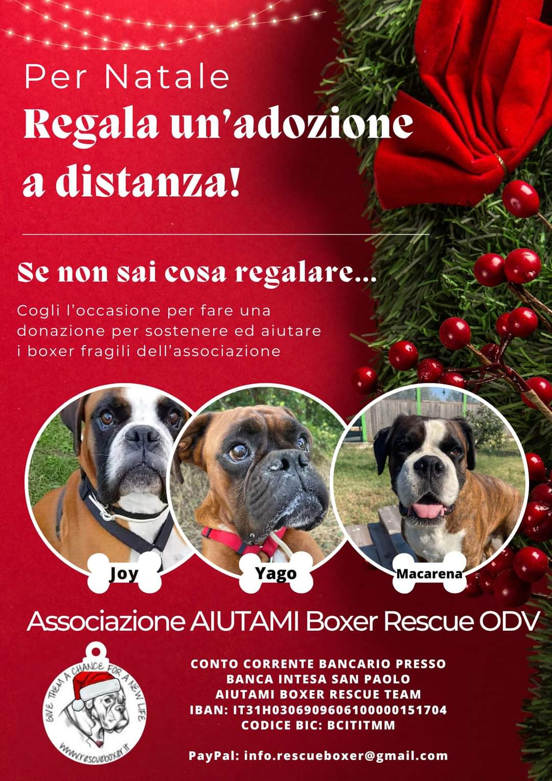 Adozione a distanza!