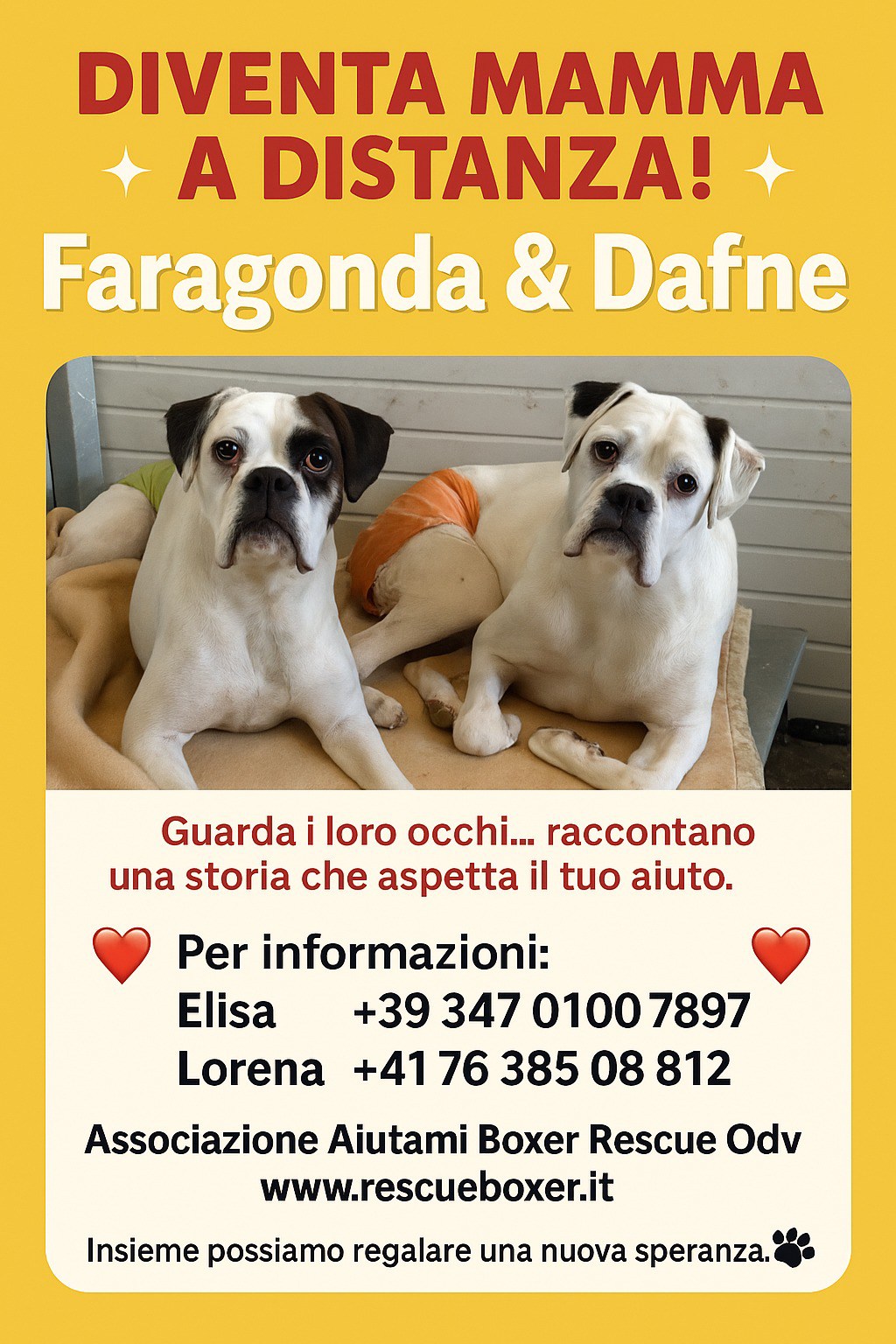 🌸 Vuoi diventare una mamma (o un papà!) a distanza? 🐶💕