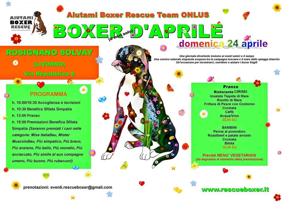 BOXER D’APRILE