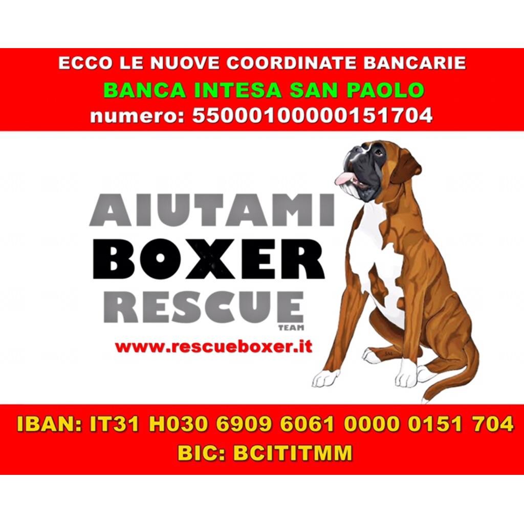 Le nuove coordinate di Aiutami Boxer Rescue