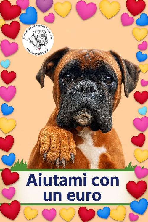 TEAMING. Solo 1 Euro al mese