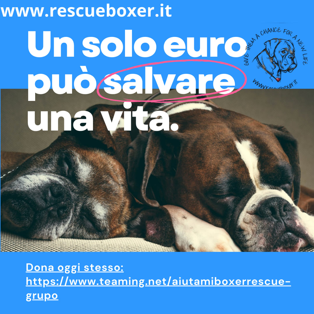 TEAMING. Solo 1 Euro al mese