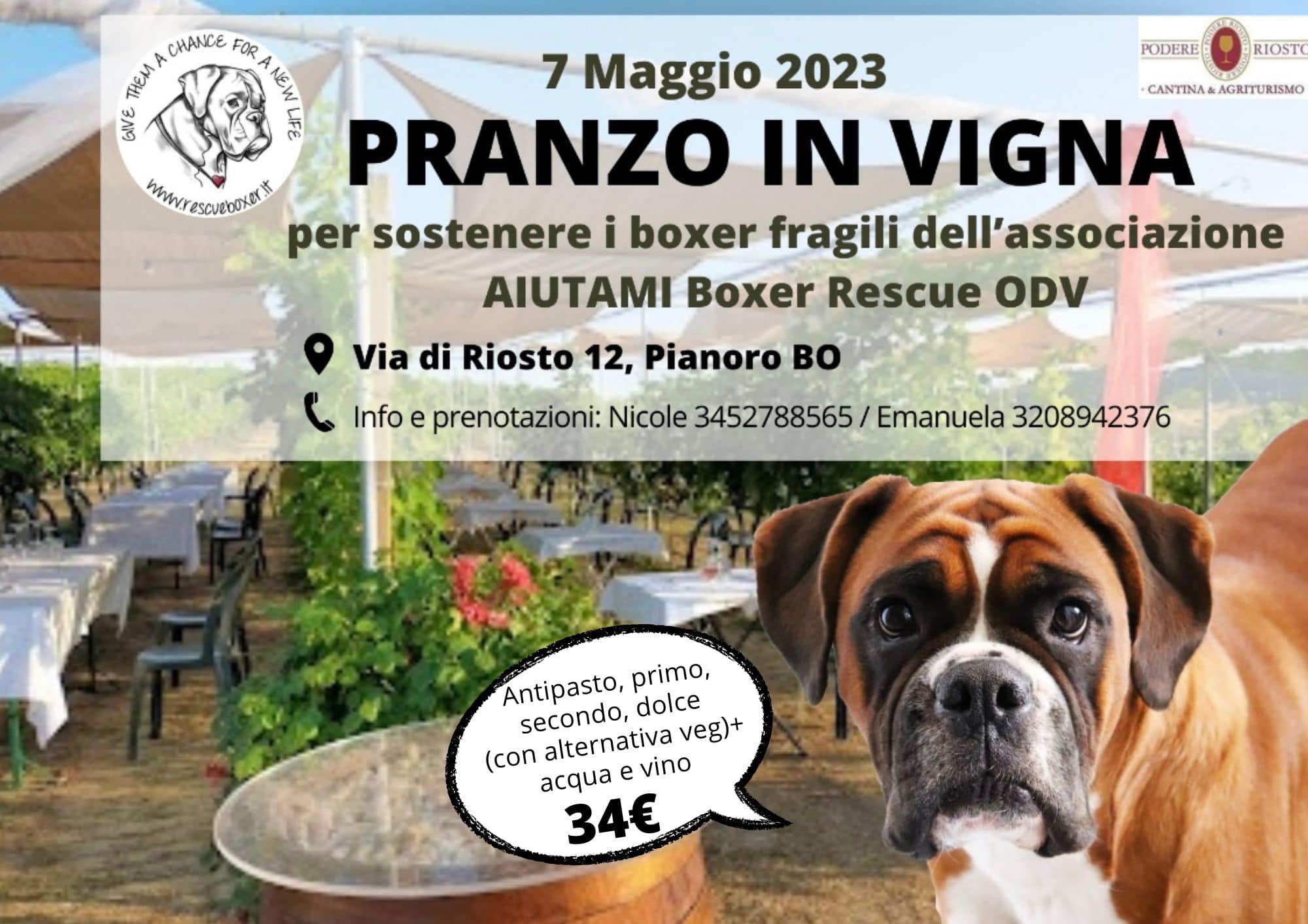 Pranzo in Vigna ! – Evento benefico di Aiutami Boxer Rescue !