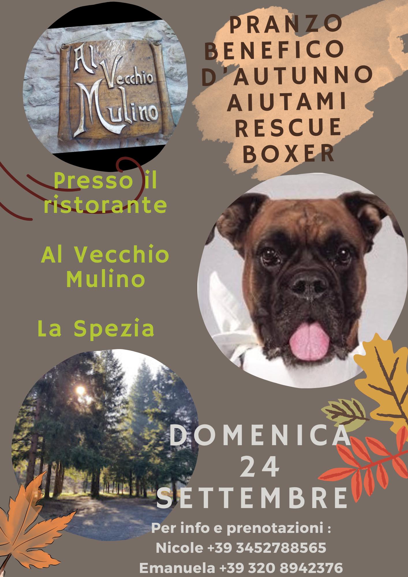 Raduno d’autunno di Aiutami Boxer Rescue !