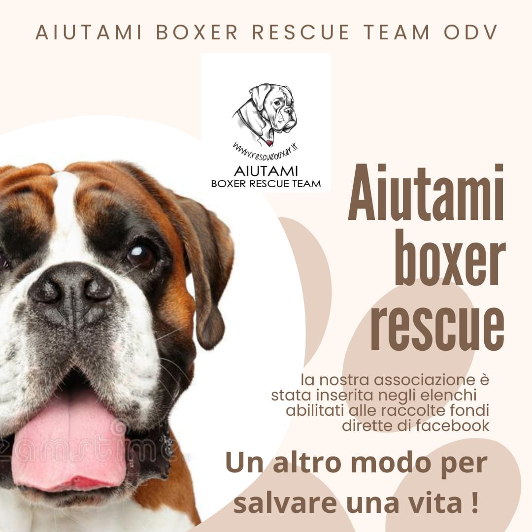 🐾AIUTAMI BOXER RESCUE TEAM ODV🐾  Un altro modo per poterci aiutare 🔽🔽🔽