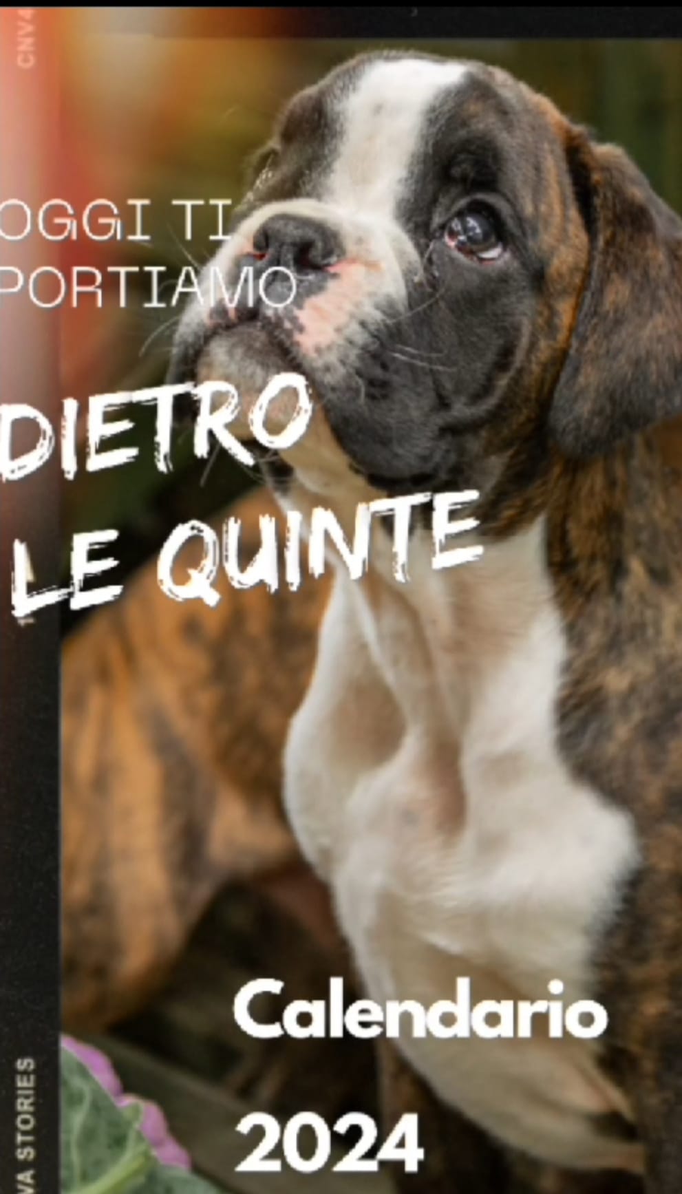 Preview Calendario Aiutami Boxer Rescue Odv