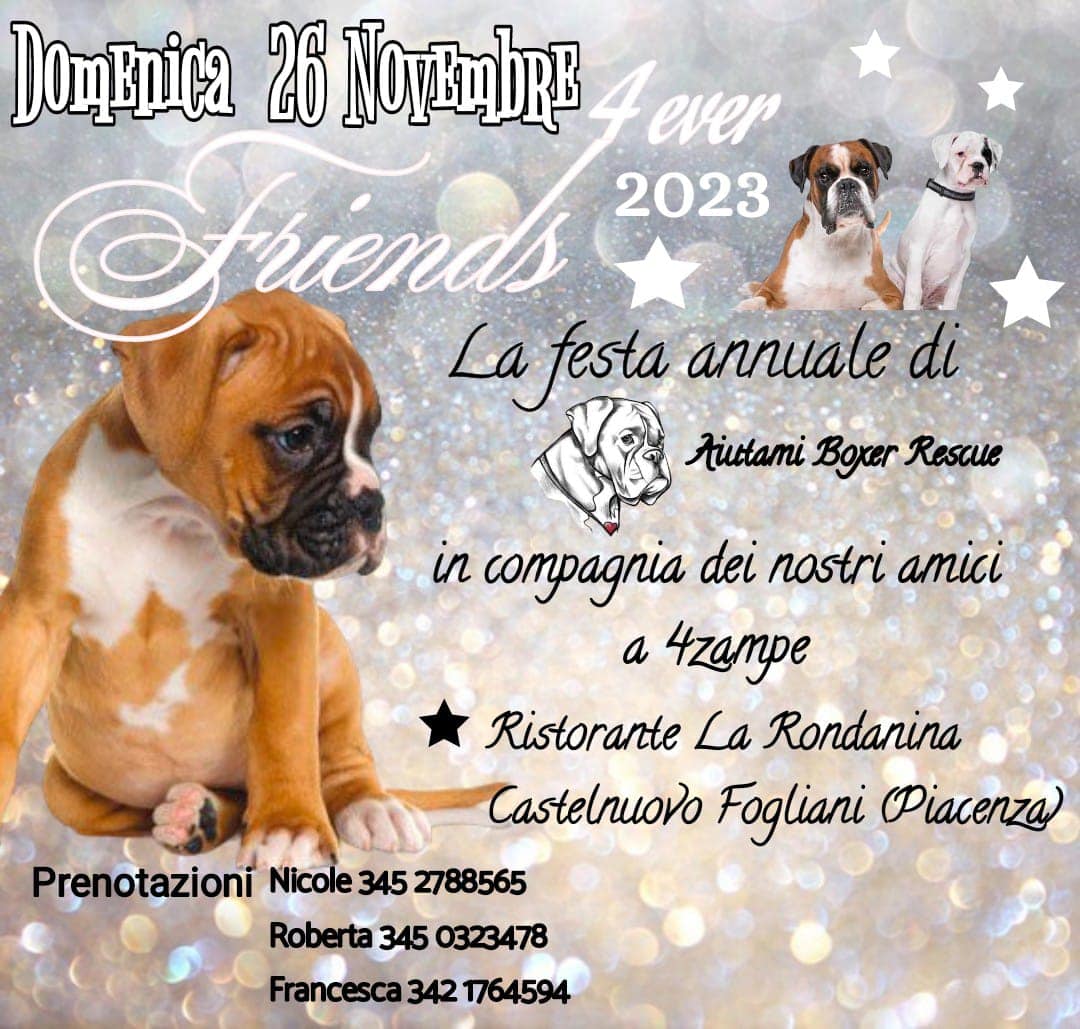 ⭐Forever Friends  2023 ⭐ 16°edizione