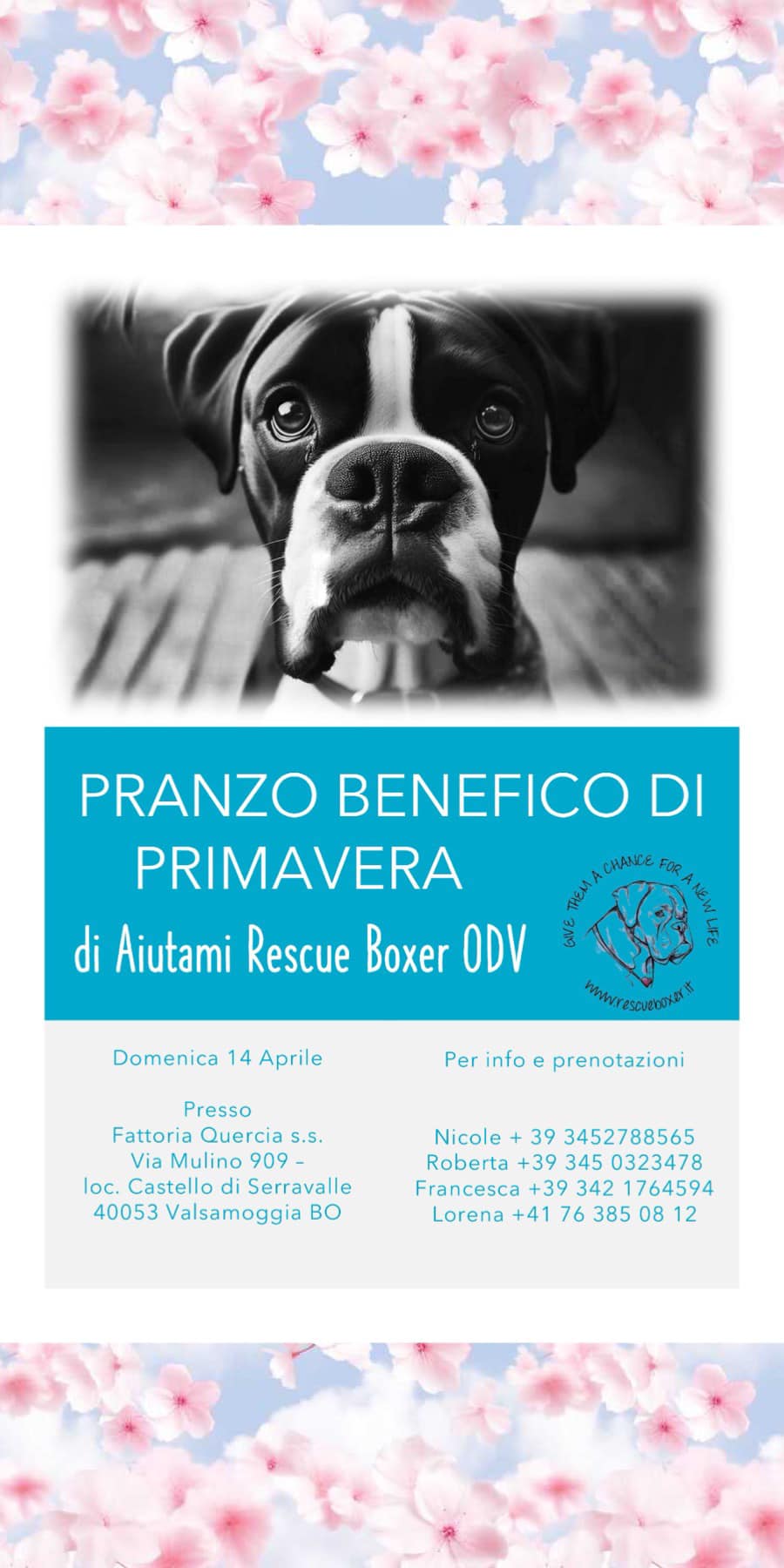 🌸🐾   DOMENICA 14 Aprile 2024 🐾🌸