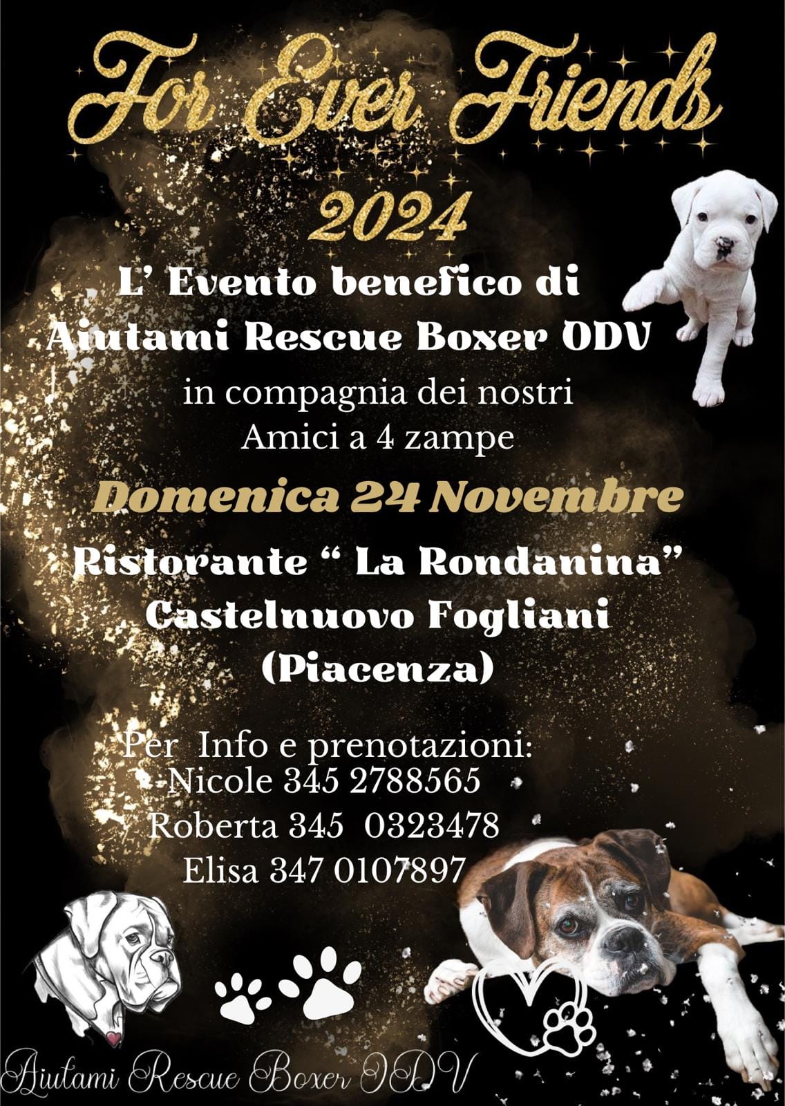 ⭐Forever Friends 2024 ⭐ 17°edizione