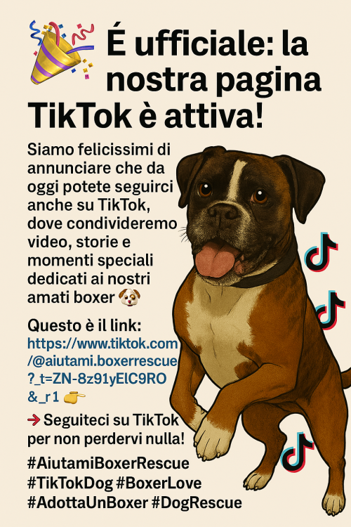 È ufficiale la nostra pagina TikTok è attiva!