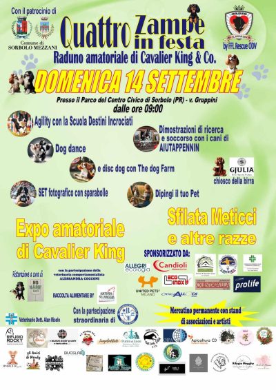 🐾 Aiutami Boxer Rescue sarà presente a “Quattro Zampe in Festa”! 🐶🎉