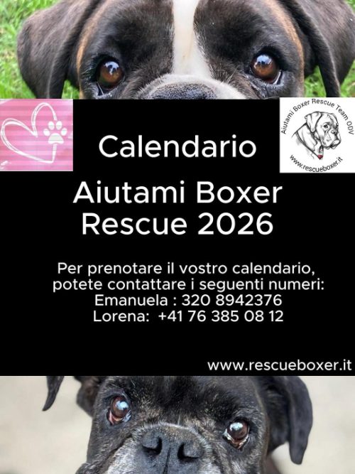 Calendario Benefico 2026 di Aiutami Boxer Rescue Odv!