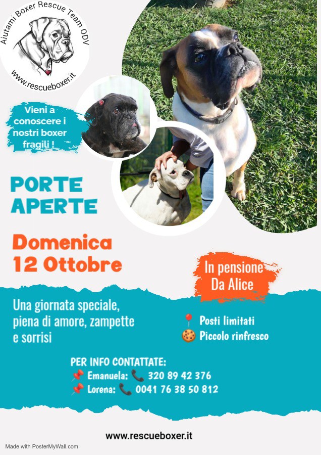 🌟 PORTE APERTE IN PENSIONE DA ALICE 🌟