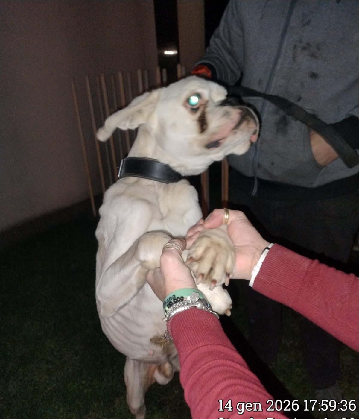 Casper, il Guerriero Bianco: Aiutiamolo a Rinascere