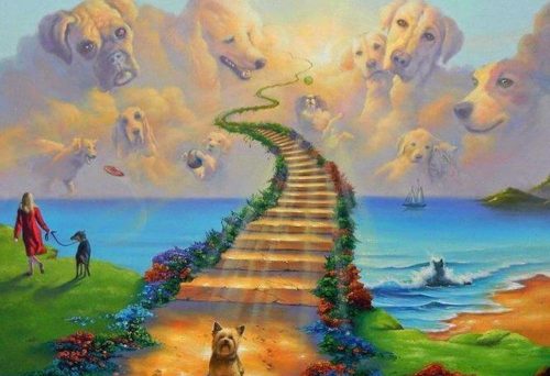 Oltre l’arcobaleno, dove l’amore diventa luce 🌈